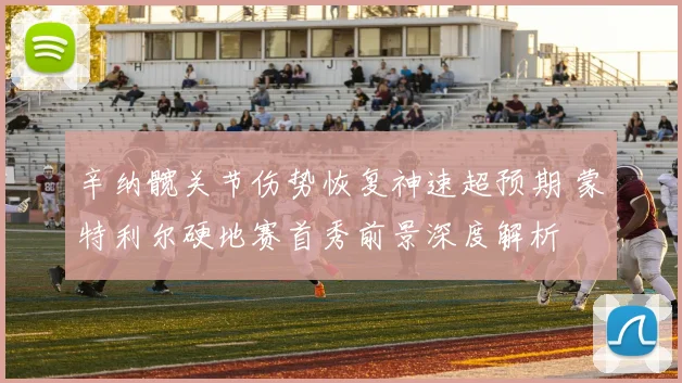 辛纳髋关节伤势恢复神速超预期 蒙特利尔硬地赛首秀前景深度解析