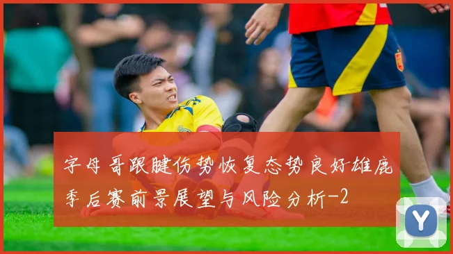 字母哥跟腱伤势恢复态势良好雄鹿季后赛前景展望与风险分析